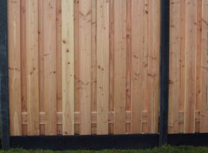 PHOTO-2024-01-09-18-53-15 2