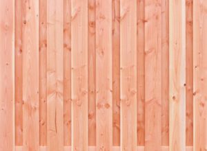 PHOTO-2024-01-09-18-53-16