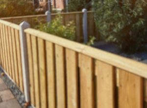 WhatsApp Image 2024-01-15 at 11.23.44 (3)